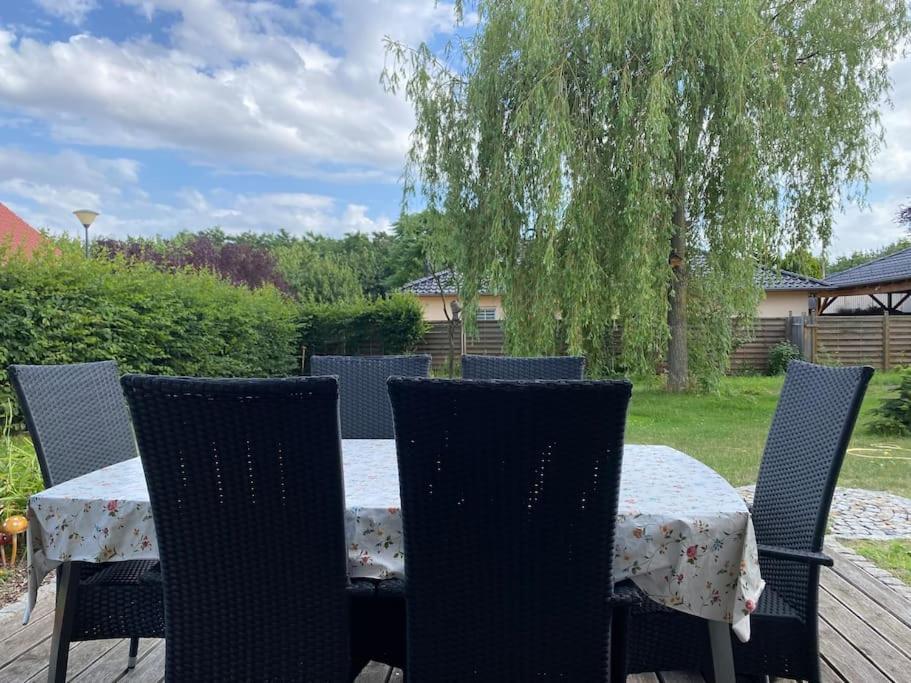 Ferienhaus - Ganzes Haus Fuer Euch Allein Großenhain Kültér fotó