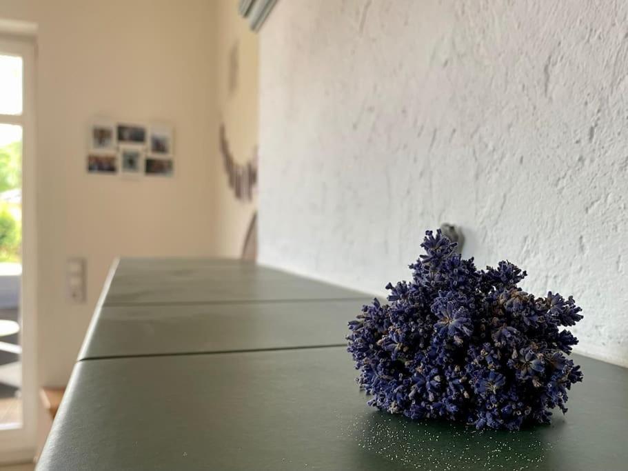 Ferienhaus - Ganzes Haus Fuer Euch Allein Großenhain Kültér fotó